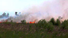 Forest Wildfire Campo ardente da grama seca e das árvores Fumo pesado contra o céu Fogo selvagem devido ao tempo ventoso quente n video estoque Forest Wildfire Campo ardente da grama seca e das árvores Fumo pesado contra o céu Fogo selvagem devido ao tempo ventoso quente n video estoque