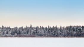 Foresta costiera sul lago congelato nella stagione di inverno fotografia stock libera da diritti Foresta costiera sul lago congelato nella stagione di inverno fotografia stock libera da diritti