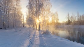 Foresta di inverno di Snowy con i cespugli e gli alberi sulle banche del fiume con nebbia, Russia, i Urals fotografia stock libera da diritti Foresta di inverno di Snowy con i cespugli e gli alberi sulle banche del fiume con nebbia, Russia, i Urals fotografia stock libera da diritti