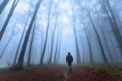 Foresta nebbiosa romantica ed uomo scuro Immagine Stock Foresta nebbiosa romantica ed uomo scuro Immagine Stock