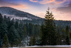 Forested mountain at winter sunset Royalty Free Stock Images Forested mountain at winter sunset Royalty Free Stock Images