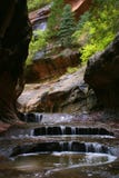 Forested Slot Canyon--Subway Royalty Free Stock Photos Forested Slot Canyon--Subway Royalty Free Stock Photos