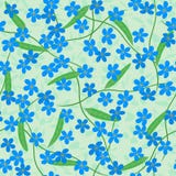 Forget Me Not Flowers Stock Photos