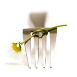 Fork And Flower Stock Image Fork And Flower Stock Image