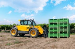 Forklift ο φορτωτής φορτώνει τα πλαστικά κιβώτια σε έναν τομέα σε ένα υπόβαθρο αμπελώνων υπαίθριο στοκ εικόνα Forklift ο φορτωτής φορτώνει τα πλαστικά κιβώτια σε έναν τομέα σε ένα υπόβαθρο αμπελώνων υπαίθριο στοκ εικόνα