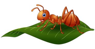Formiga dos desenhos animados na folha ilustração stock Formiga dos desenhos animados na folha ilustração stock