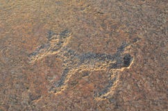 Forntida petroglyphs sned på stenarna av Onega sjön i Karelia arkivfoton Forntida petroglyphs sned på stenarna av Onega sjön i Karelia arkivfoton