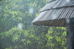 Forte pluie en parc illustration libre de droits Forte pluie en parc illustration libre de droits