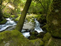 Força de Watter foto de stock Força de Watter foto de stock