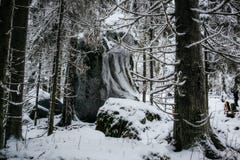 Forêt finlandaise en hiver images stock Forêt finlandaise en hiver images stock
