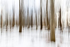 Forêt Painterly Forêt Painterly