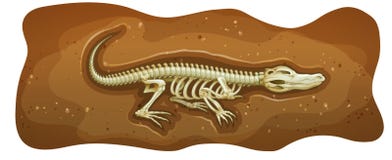 fossil ilustração stock fossil ilustração stock