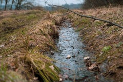 Fossé avec de l'eau dans le domaine sauvage photo libre de droits Fossé avec de l'eau dans le domaine sauvage photo libre de droits