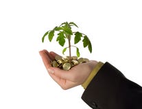 Fostering A Business Idea Royalty Free Stock Photos Fostering A Business Idea Royalty Free Stock Photos