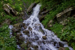A foto da cachoeira pequena cercada por wildflowers e as hortaliças nas montanhas de Dzenbronia ajardinam fotos de stock A foto da cachoeira pequena cercada por wildflowers e as hortaliças nas montanhas de Dzenbronia ajardinam fotos de stock