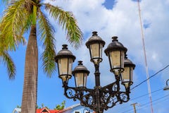Foto del dettaglio delle lampade di via e delle palme nello spirito caraibico fotografie stock Foto del dettaglio delle lampade di via e delle palme nello spirito caraibico fotografie stock