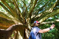 Foto di presa turistica maschio di se stesso vicino all'albero di banyan gigante sulle Hawai Rami e radici d'attaccatura dell'alb Fotografia Stock Foto di presa turistica maschio di se stesso vicino all'albero di banyan gigante sulle Hawai Rami e radici d'attaccatura dell'alb Fotografia Stock