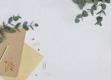 Foto minimalista con el lápiz de oro, clips de papel, pernos, nota, sobre, ramas del eucalipto foto de archivo Foto minimalista con el lápiz de oro, clips de papel, pernos, nota, sobre, ramas del eucalipto foto de archivo