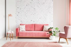 Foto real de un rosa, sofá del terciopelo, planta, mesa de centro con el pote fotografía de archivo libre de regalías Foto real de un rosa, sofá del terciopelo, planta, mesa de centro con el pote fotografía de archivo libre de regalías