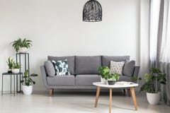 Foto reale di un interno semplice del salone con un sofà grigio, le piante ed il tavolino da salotto fotografia stock libera da diritti Foto reale di un interno semplice del salone con un sofà grigio, le piante ed il tavolino da salotto fotografia stock libera da diritti