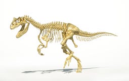 Foto-realistico di scheletro di allosauro, scientifico corretto. illustrazione di stock Foto-realistico di scheletro di allosauro, scientifico corretto. illustrazione di stock
