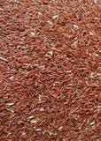 Foto vertical da vista superior de profundo cru - arroz tailandês vermelho de Sangyod Muang Phatthalung fotografia de stock royalty free Foto vertical da vista superior de profundo cru - arroz tailandês vermelho de Sangyod Muang Phatthalung fotografia de stock royalty free