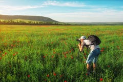 Fotograf, der Fotos des Feldes mit Mohnblumen macht stockfotos Fotograf, der Fotos des Feldes mit Mohnblumen macht stockfotos