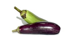 fotografia fresca da beringela ou do brinjal imagens de stock royalty free fotografia fresca da beringela ou do brinjal imagens de stock royalty free