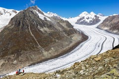 Fotvandrare som beskådar den stora Aletsch glaciären fotografering för bildbyråer Fotvandrare som beskådar den stora Aletsch glaciären fotografering för bildbyråer