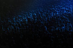 Foule dans une salle de concert images libres de droits Foule dans une salle de concert images libres de droits