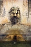 Fountain In The Courtyard Of The Vatican Museums, Rome, Italy Royalty Free Stock Images Fountain In The Courtyard Of The Vatican Museums, Rome, Italy Royalty Free Stock Images
