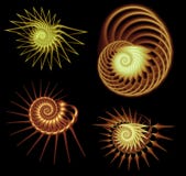 Four Fractal Spirals 3 Royalty Free Stock Image