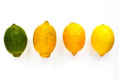 Four lemons of different maturity lie on a table or on a white background stock images Four lemons of different maturity lie on a table or on a white background stock images