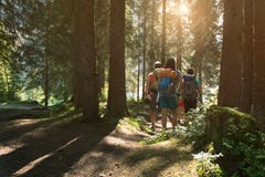 Four Man And Woman Walking Along Hiking Trail Path In Forest Woods During Sunny Day. Group Of Friends People Summer Royalty Free Stock Images Four Man And Woman Walking Along Hiking Trail Path In Forest Woods During Sunny Day. Group Of Friends People Summer Royalty Free Stock Images