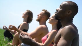 Four people sit on the grass and meditate, close up stock video footage Four people sit on the grass and meditate, close up stock video footage