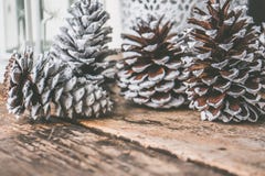Four Pine Cones on Top of Brown Wooden Surface royalty free stock photos Four Pine Cones on Top of Brown Wooden Surface royalty free stock photos