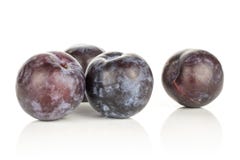 Fresh raw red blue plum isolated on white stock images Fresh raw red blue plum isolated on white stock images