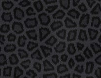Fourrure de panthère noire illustration stock Fourrure de panthère noire illustration stock