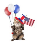 Fourth Of July Cat With Balloons and Flag