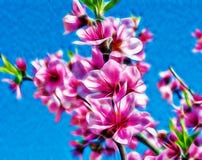 Fractal abstract beautiful pink flower royalty free stock photos Fractal abstract beautiful pink flower royalty free stock photos
