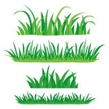 Fragments of green grass. Set of design elements of nature. Vector illustration vector illustration Fragments of green grass. Set of design elements of nature. Vector illustration vector illustration