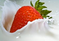 Fragola fotografia stock Fragola fotografia stock