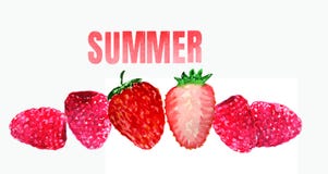 Fragola e lampone su un fondo bianco illustrazione di stock Fragola e lampone su un fondo bianco illustrazione di stock