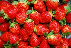 Fragole