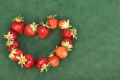 Fraise image stock Fraise image stock