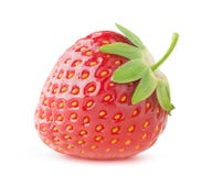 Fraise image stock Fraise image stock
