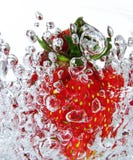 Fraise fraîche