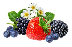 Fraise, mûre, myrtille, myrtilles d'isolement sur le blanc photos stock Fraise, mûre, myrtille, myrtilles d'isolement sur le blanc photos stock