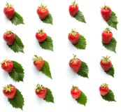 Fraise sur le fond blanc d'isolement par modèle de feuilles Images stock Fraise sur le fond blanc d'isolement par modèle de feuilles Images stock