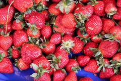 Fraises délicieuses photographie stock Fraises délicieuses photographie stock